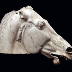 Fidia, <em>Testa del cavallo di Selene, dea della luna, dal frontone orientale del Partenone</em>