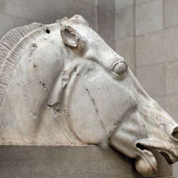 <em>Testa di cavallo dal frontone est del Partenone</em>